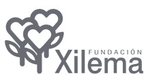Logo Fundación Xilema